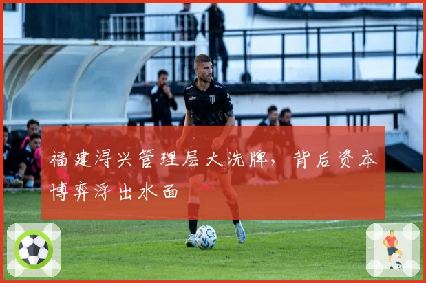 福建浔兴管理层大洗牌,背后资本博弈浮出水面