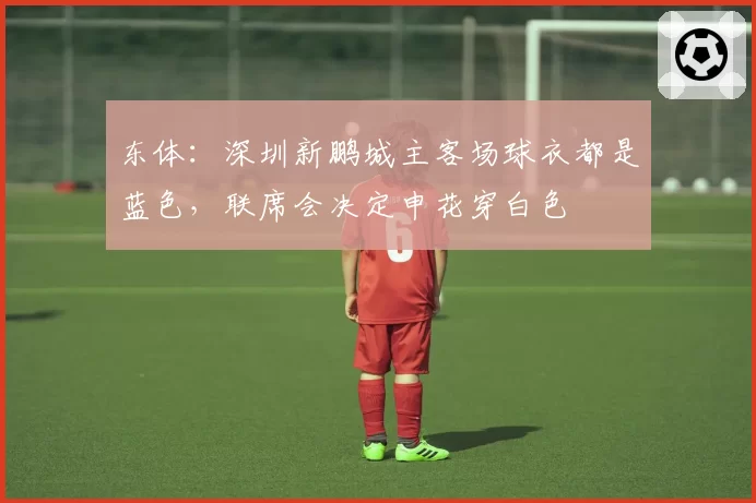 东体：深圳新鹏城主客场球衣都是蓝色，联席会决定申花穿白色